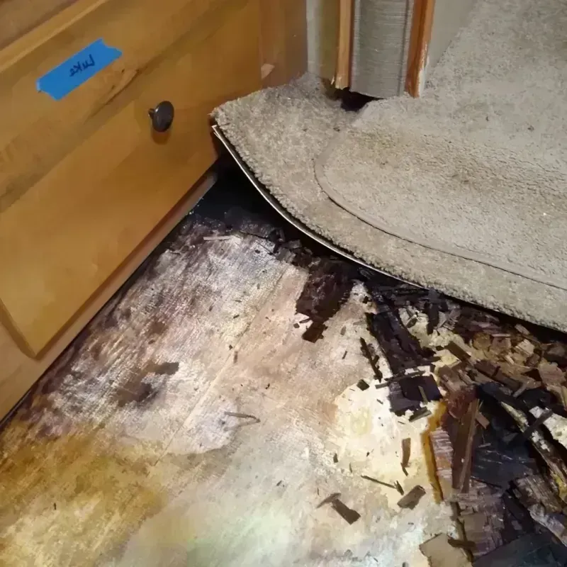 Wood Floor Water Damage in Forks, WA